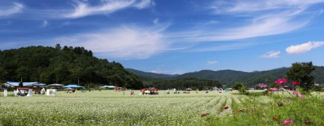 Hyo Seok Cultural Festival