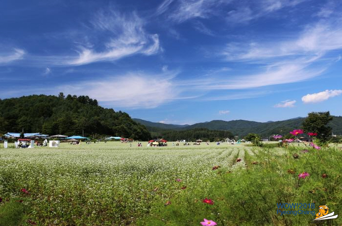 Hyo Seok Cultural Festival