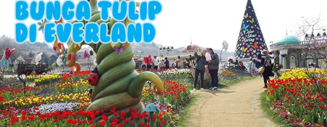Misi Memburu Bunga Tulip di Everland