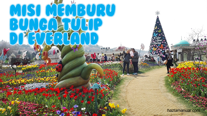 Misi Memburu Bunga Tulip di Everland